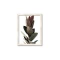 Picture of Plant Life _GroupedProduct_Rectangle_Portrait_Photography _GroupedProduct_Rectangle_Portrait_Framed_Matted_