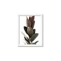 Picture of Plant Life _GroupedProduct_Rectangle_Portrait_Photography _GroupedProduct_Rectangle_Portrait_Framed_Matted_