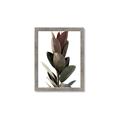 Picture of Plant Life _GroupedProduct_Rectangle_Portrait_Photography _GroupedProduct_Rectangle_Portrait_Framed_Matted_