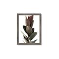 Picture of Plant Life _GroupedProduct_Rectangle_Portrait_Photography _GroupedProduct_Rectangle_Portrait_Framed_Matted_