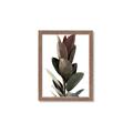 Picture of Plant Life _GroupedProduct_Rectangle_Portrait_Photography _GroupedProduct_Rectangle_Portrait_Framed_Matted_