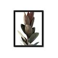 Picture of Plant Life _GroupedProduct_Rectangle_Portrait_Photography _GroupedProduct_Rectangle_Portrait_Framed_Matted_