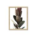 Picture of Plant Life _GroupedProduct_Rectangle_Portrait_Photography _GroupedProduct_Rectangle_Portrait_Framed_Matted_