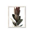 Picture of Plant Life _GroupedProduct_Rectangle_Portrait_Photography _GroupedProduct_Rectangle_Portrait_Framed_Matted_