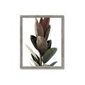 Picture of Plant Life _GroupedProduct_Rectangle_Portrait_Photography _GroupedProduct_Rectangle_Portrait_Framed_Matted_