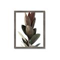 Picture of Plant Life _GroupedProduct_Rectangle_Portrait_Photography _GroupedProduct_Rectangle_Portrait_Framed_Matted_