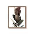 Picture of Plant Life _GroupedProduct_Rectangle_Portrait_Photography _GroupedProduct_Rectangle_Portrait_Framed_Matted_