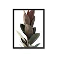 Picture of Plant Life _GroupedProduct_Rectangle_Portrait_Photography _GroupedProduct_Rectangle_Portrait_Framed_Matted_