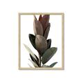 Picture of Plant Life _GroupedProduct_Rectangle_Portrait_Photography _GroupedProduct_Rectangle_Portrait_Framed_Matted_