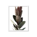 Picture of Plant Life _GroupedProduct_Rectangle_Portrait_Photography _GroupedProduct_Rectangle_Portrait_Framed_Matted_