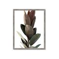 Picture of Plant Life _GroupedProduct_Rectangle_Portrait_Photography _GroupedProduct_Rectangle_Portrait_Framed_Matted_