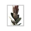 Picture of Plant Life _GroupedProduct_Rectangle_Portrait_Photography _GroupedProduct_Rectangle_Portrait_Framed_Matted_