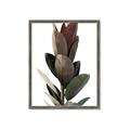 Picture of Plant Life _GroupedProduct_Rectangle_Portrait_Photography _GroupedProduct_Rectangle_Portrait_Framed_Matted_