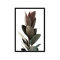 Picture of Plant Life _GroupedProduct_Rectangle_Portrait_Photography _GroupedProduct_Rectangle_Portrait_Framed_Matted_