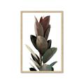 Picture of Plant Life _GroupedProduct_Rectangle_Portrait_Photography _GroupedProduct_Rectangle_Portrait_Framed_Matted_