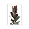 Picture of Plant Life _GroupedProduct_Rectangle_Portrait_Photography _GroupedProduct_Rectangle_Portrait_Framed_Matted_