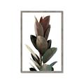 Picture of Plant Life _GroupedProduct_Rectangle_Portrait_Photography _GroupedProduct_Rectangle_Portrait_Framed_Matted_