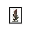 Picture of Plant Life _GroupedProduct_Rectangle_Portrait_Photography _GroupedProduct_Rectangle_Portrait_Framed_Matted_
