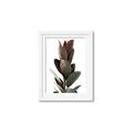 Picture of Plant Life _GroupedProduct_Rectangle_Portrait_Photography _GroupedProduct_Rectangle_Portrait_Framed_Matted_