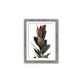 Picture of Plant Life _GroupedProduct_Rectangle_Portrait_Photography _GroupedProduct_Rectangle_Portrait_Framed_Matted_