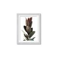 Picture of Plant Life _GroupedProduct_Rectangle_Portrait_Photography _GroupedProduct_Rectangle_Portrait_Framed_Matted_