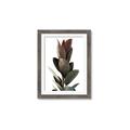 Picture of Plant Life _GroupedProduct_Rectangle_Portrait_Photography _GroupedProduct_Rectangle_Portrait_Framed_Matted_