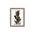 Picture of Plant Life _GroupedProduct_Rectangle_Portrait_Photography _GroupedProduct_Rectangle_Portrait_Framed_Matted_