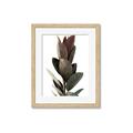 Picture of Plant Life _GroupedProduct_Rectangle_Portrait_Photography _GroupedProduct_Rectangle_Portrait_Framed_Matted_