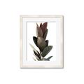 Picture of Plant Life _GroupedProduct_Rectangle_Portrait_Photography _GroupedProduct_Rectangle_Portrait_Framed_Matted_