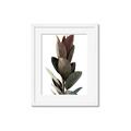Picture of Plant Life _GroupedProduct_Rectangle_Portrait_Photography _GroupedProduct_Rectangle_Portrait_Framed_Matted_