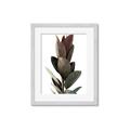 Picture of Plant Life _GroupedProduct_Rectangle_Portrait_Photography _GroupedProduct_Rectangle_Portrait_Framed_Matted_