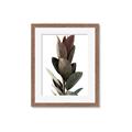 Picture of Plant Life _GroupedProduct_Rectangle_Portrait_Photography _GroupedProduct_Rectangle_Portrait_Framed_Matted_
