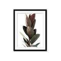 Picture of Plant Life _GroupedProduct_Rectangle_Portrait_Photography _GroupedProduct_Rectangle_Portrait_Framed_Matted_