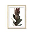 Picture of Plant Life _GroupedProduct_Rectangle_Portrait_Photography _GroupedProduct_Rectangle_Portrait_Framed_Matted_