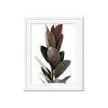 Picture of Plant Life _GroupedProduct_Rectangle_Portrait_Photography _GroupedProduct_Rectangle_Portrait_Framed_Matted_