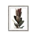 Picture of Plant Life _GroupedProduct_Rectangle_Portrait_Photography _GroupedProduct_Rectangle_Portrait_Framed_Matted_