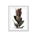 Picture of Plant Life _GroupedProduct_Rectangle_Portrait_Photography _GroupedProduct_Rectangle_Portrait_Framed_Matted_
