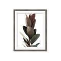 Picture of Plant Life _GroupedProduct_Rectangle_Portrait_Photography _GroupedProduct_Rectangle_Portrait_Framed_Matted_