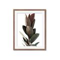Picture of Plant Life _GroupedProduct_Rectangle_Portrait_Photography _GroupedProduct_Rectangle_Portrait_Framed_Matted_