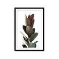 Picture of Plant Life _GroupedProduct_Rectangle_Portrait_Photography _GroupedProduct_Rectangle_Portrait_Framed_Matted_