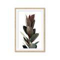 Picture of Plant Life _GroupedProduct_Rectangle_Portrait_Photography _GroupedProduct_Rectangle_Portrait_Framed_Matted_
