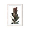 Picture of Plant Life _GroupedProduct_Rectangle_Portrait_Photography _GroupedProduct_Rectangle_Portrait_Framed_Matted_