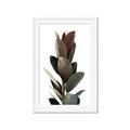 Picture of Plant Life _GroupedProduct_Rectangle_Portrait_Photography _GroupedProduct_Rectangle_Portrait_Framed_Matted_