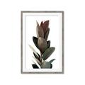 Picture of Plant Life _GroupedProduct_Rectangle_Portrait_Photography _GroupedProduct_Rectangle_Portrait_Framed_Matted_