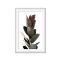 Picture of Plant Life _GroupedProduct_Rectangle_Portrait_Photography _GroupedProduct_Rectangle_Portrait_Framed_Matted_