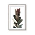 Picture of Plant Life _GroupedProduct_Rectangle_Portrait_Photography _GroupedProduct_Rectangle_Portrait_Framed_Matted_