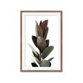 Picture of Plant Life _GroupedProduct_Rectangle_Portrait_Photography _GroupedProduct_Rectangle_Portrait_Framed_Matted_