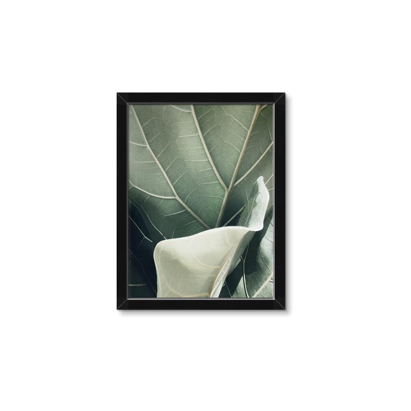 Picture of Sage Leaves  _GroupedProduct_Rectangle_Portrait_Photography _GroupedProduct_Rectangle_Portrait_Framed_Matted_