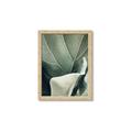 Picture of Sage Leaves  _GroupedProduct_Rectangle_Portrait_Photography _GroupedProduct_Rectangle_Portrait_Framed_Matted_