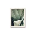 Picture of Sage Leaves  _GroupedProduct_Rectangle_Portrait_Photography _GroupedProduct_Rectangle_Portrait_Framed_Matted_